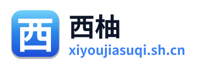 西柚加速器 Logo